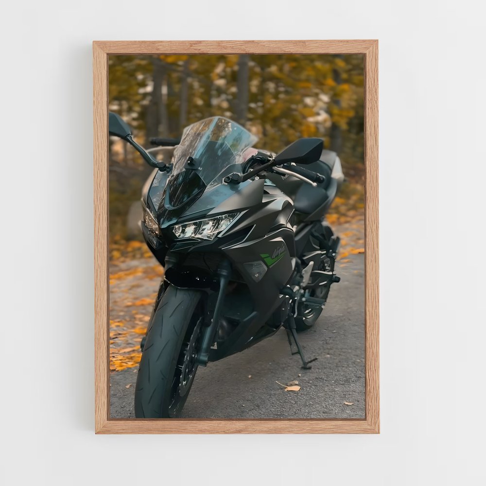 Poster Ninja Incroyable (vue 4)